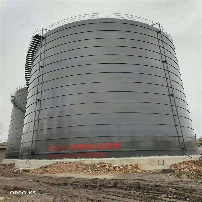 久治3万吨大型钢板库